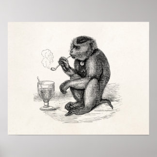 Vintage Monkey Smoking a Pipe Monkeys  Animal Poster