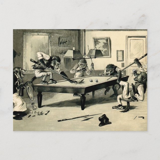Vintage Monkeys Playing Pool Postcard (Front)