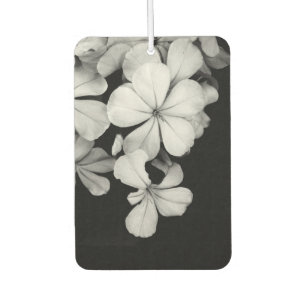 Vintage Monochrome Plumbago Artwork Car Air Freshener