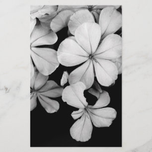 Vintage Monochrome Plumbago Artwork Stationery