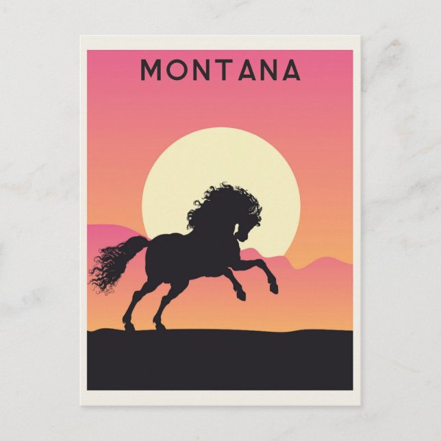 Vintage Montana Horse Mountain Sunset Travel Postcard (Front)