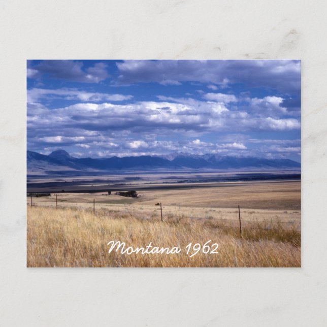 Vintage Montana Postcard (Front)