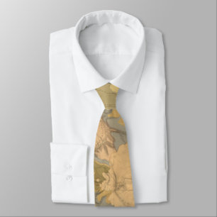 Vintage Montana & Wyoming Geological Map (1872) Tie