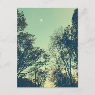 Vintage Moonlit night Postcard
