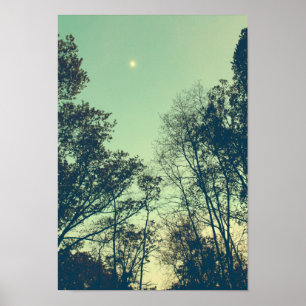 Vintage Moonlit night Poster