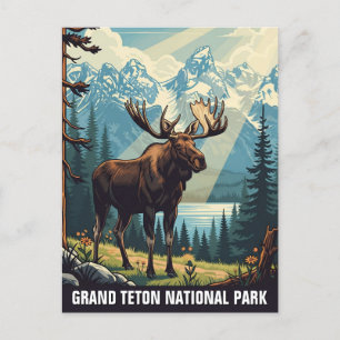 Vintage Moose at Grand Teton National Park Postcard