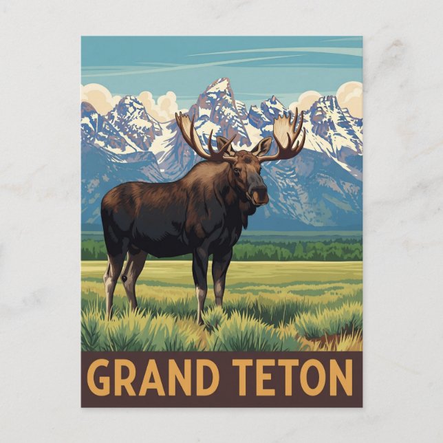 Vintage Moose in Grand Teton National Park Postcard (Front)