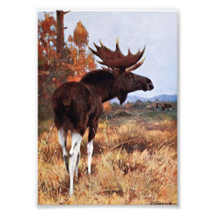 Vintage Moose Painting Photo Print
