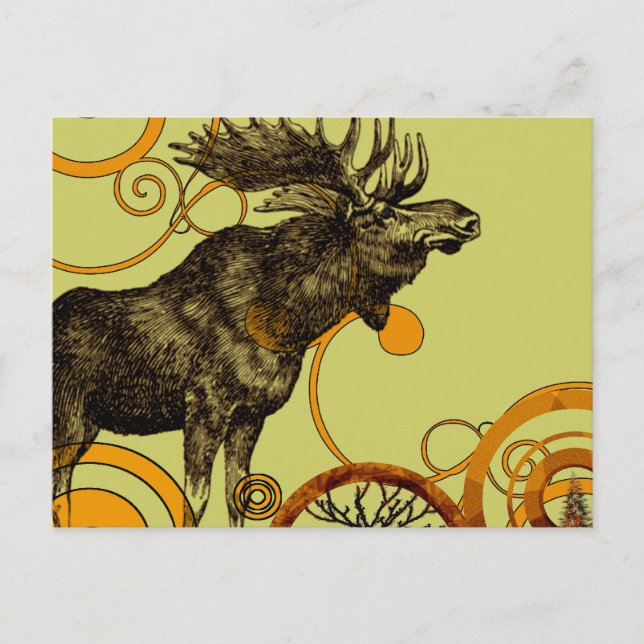Vintage Moose Postcard (Front)