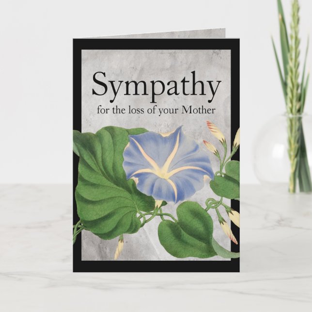 Vintage Morning Glory Botanical Sympathy Card (Front)