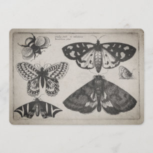 Vintage Moth Butterfly Bee Illustration (65) Invitation