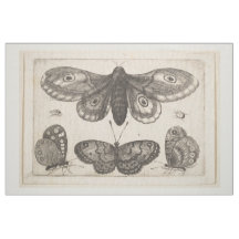 Vintage Moth Butterfly Lepidoptera Tapestry (57)