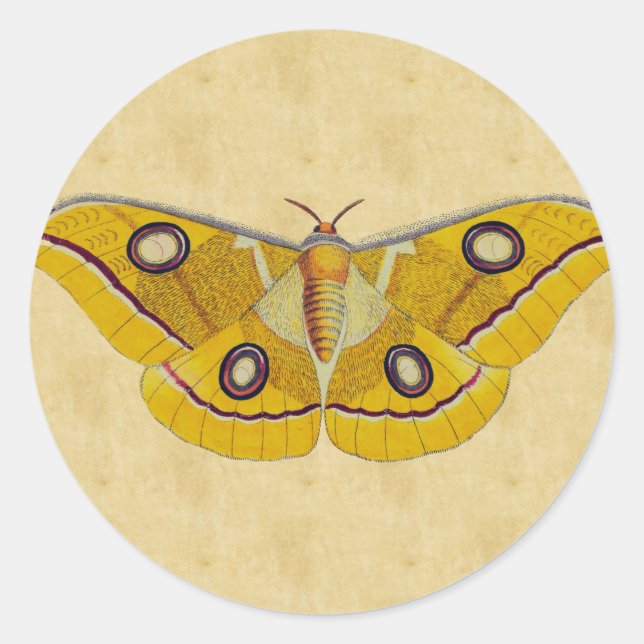 Vintage Moth Classic Round Sticker (Front)