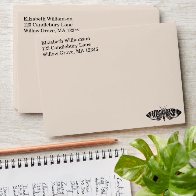 Vintage Moth Elegant Minimalist Personalised Envelope (Stacked)