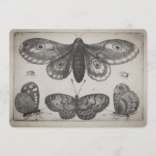 Vintage Moth Lepidoptera Illustration (57) Invitation