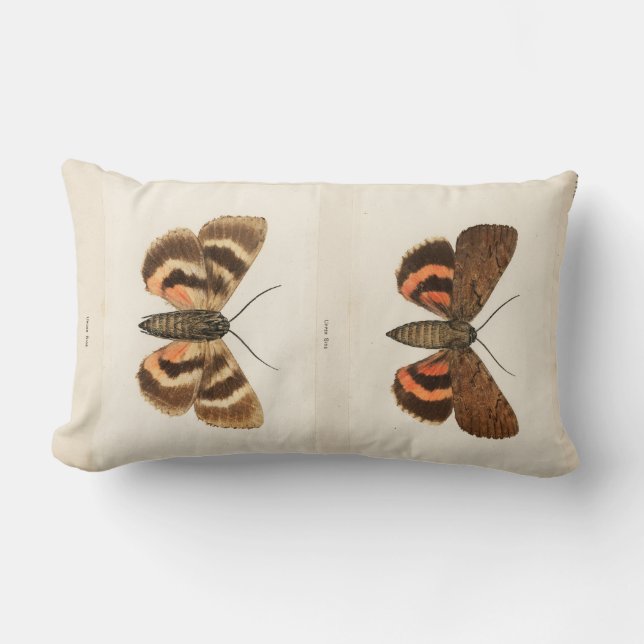 Vintage Moth Lumbar Cushion (Front)