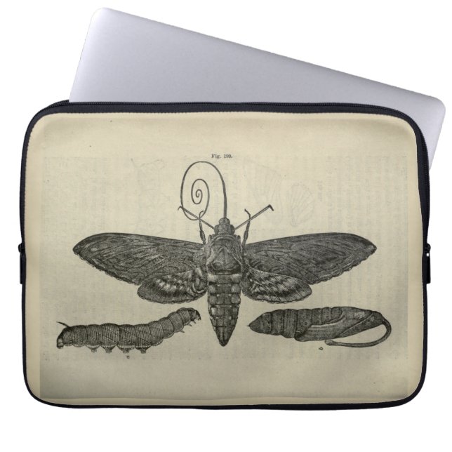 Vintage Moth Metamorphasis Print Laptop Sleeve (Front)