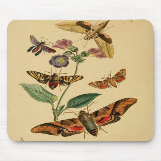 Vintage Moth Mousepad