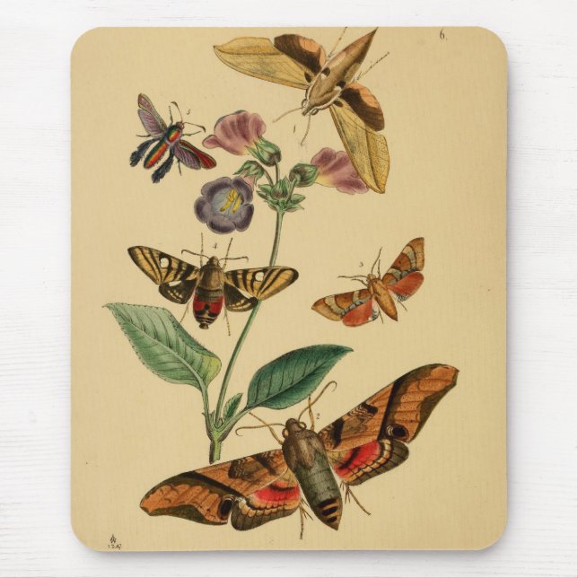 Vintage Moth Mousepad (Front)