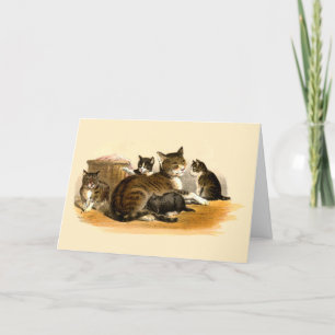 Vintage Mother Cat & Kittens Mother's Day Holiday Card