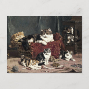 Vintage Mother Cat With Playful Kittens Postcard