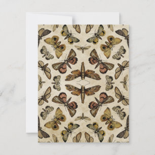 Vintage Moths Card