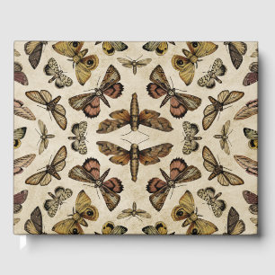 Vintage Moths Guest Book
