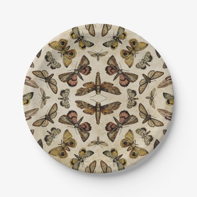 Vintage Moths Paper Plates (Front)