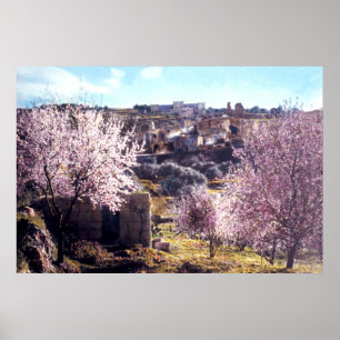 Vintage Mount Of Olives Jerusalem Israel 1950 - 77 Poster