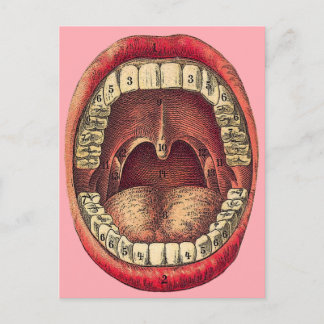 Vintage Mouth Postcard
