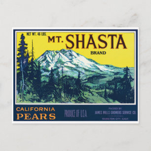Vintage Mt Shasta California Pears Label Postcard