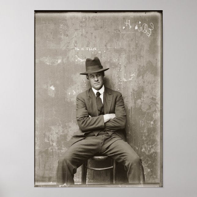 Vintage mugshot mafia gangster funny  poster (Front)