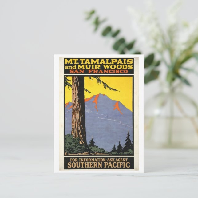 Vintage Muir Woods & Mt Tamalpais  Postcard (Standing Front)