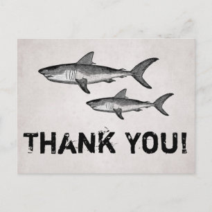 Vintage Mum and Baby Sharks Ocean Beach Thank You Postcard