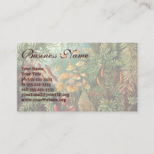 Vintage Muscinae, Moss Plants by Ernst Haeckel Business Card