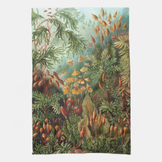 Vintage Muscinae, Moss Plants by Ernst Haeckel Tea Towel