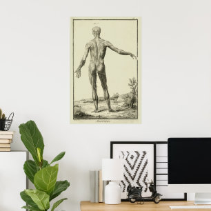 Vintage Muscles, Human Anatomy by Denis Diderot Poster