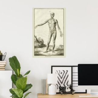 Vintage Muscles, Human Anatomy by Denis Diderot Poster