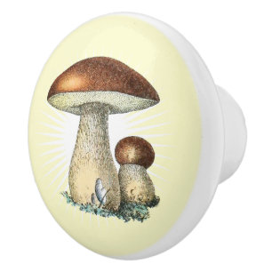 Vintage Mushroom Art Ceramic Knob