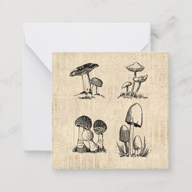 Vintage Mushroom Art Illustration Card (Front)