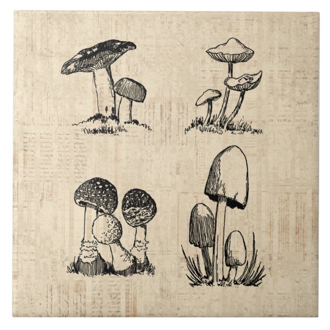 Vintage Mushroom Art Illustration Tile (Front)
