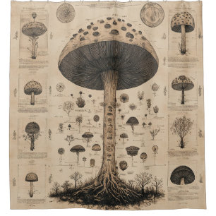 Vintage Mushroom Botanical Chart (10) Shower Curtain