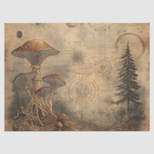 Vintage Mushroom Botanical Chart (3) Tissue Paper