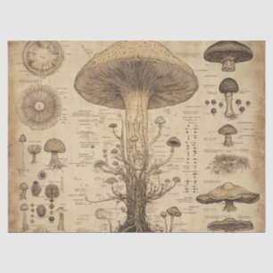 Vintage Mushroom Botanical Chart (5) Tissue Paper