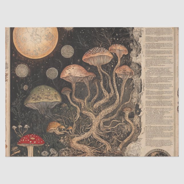 Vintage Mushroom Botanical Chart (7) Tissue Paper (Front)