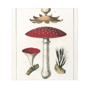 Vintage Mushroom Botanical Print Notepad