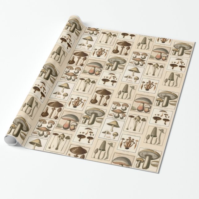 Vintage Mushroom Botanical Prints Wrapping Paper (Unrolled)