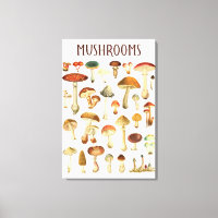 Vintage Mushroom Chart