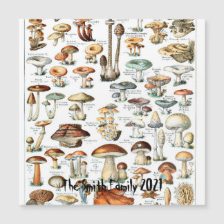 Vintage Mushroom Chart Fungus Art Illustration