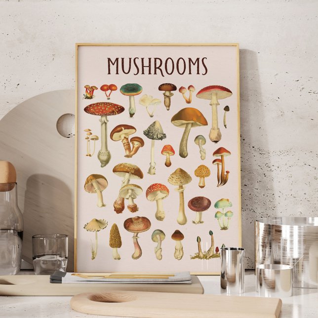 Vintage Mushroom Chart Wall Art (In situ in kitchen)